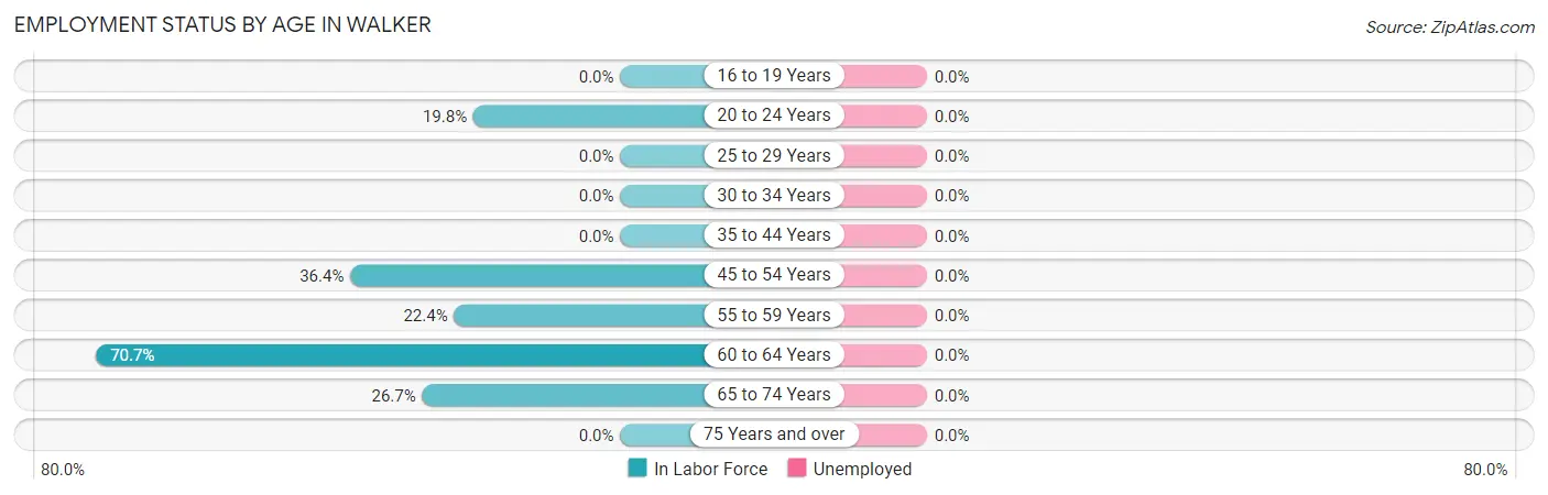 Employment Status by Age in Walker