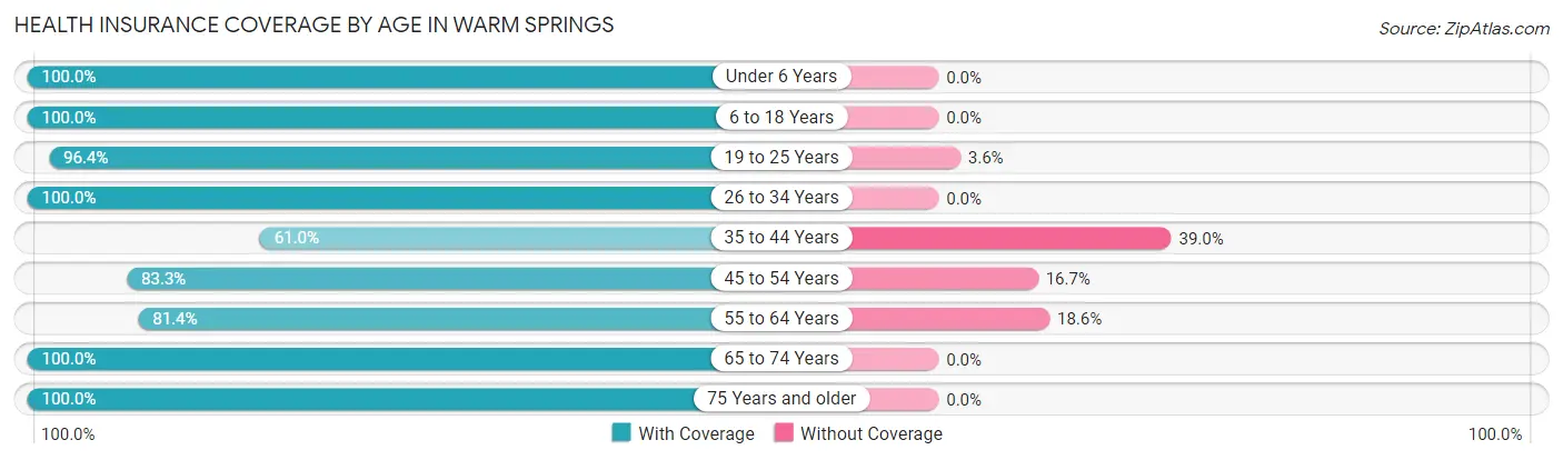 Health Insurance Coverage by Age in Warm Springs