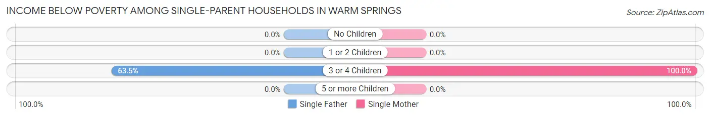 Income Below Poverty Among Single-Parent Households in Warm Springs