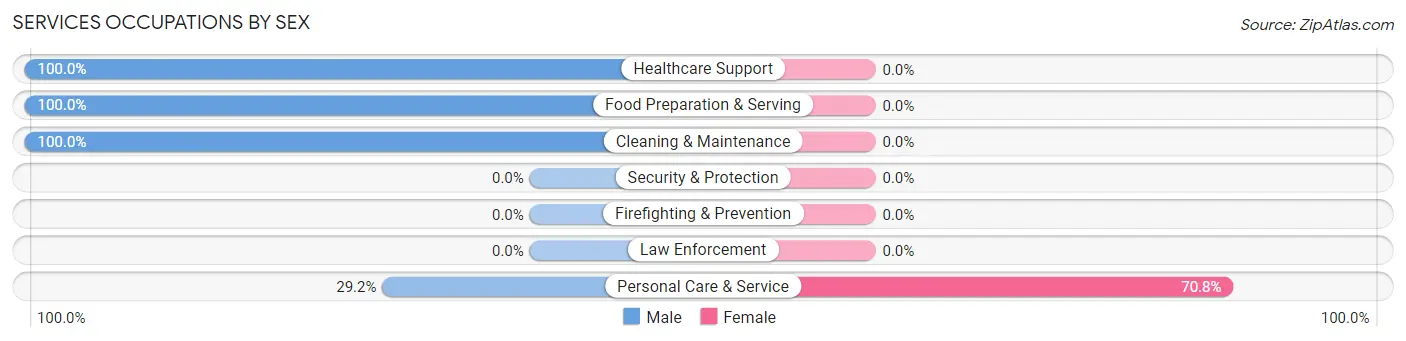 Services Occupations by Sex in Warm Springs
