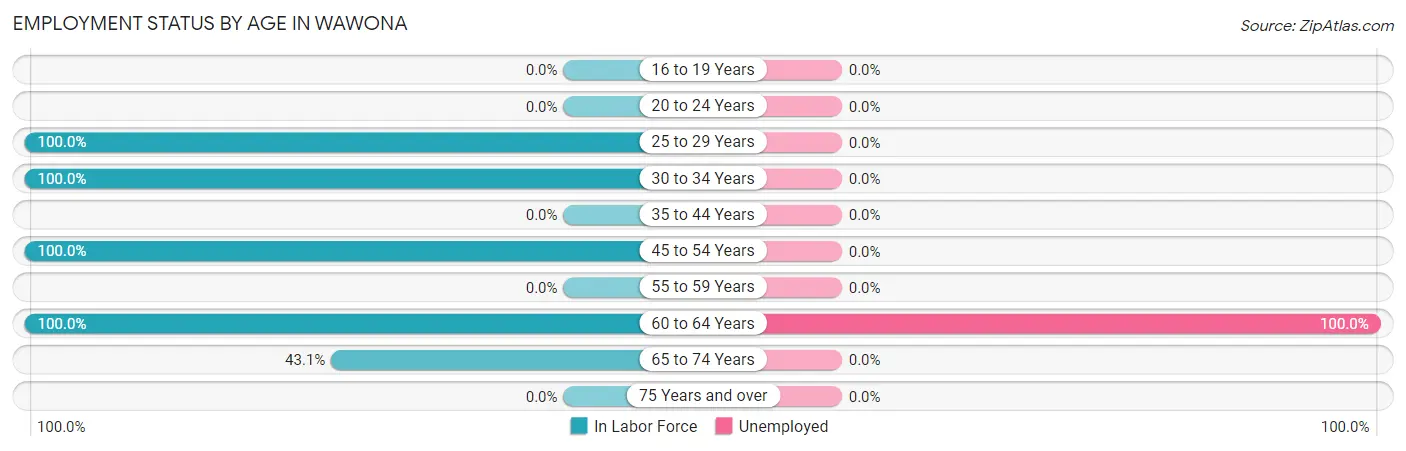 Employment Status by Age in Wawona