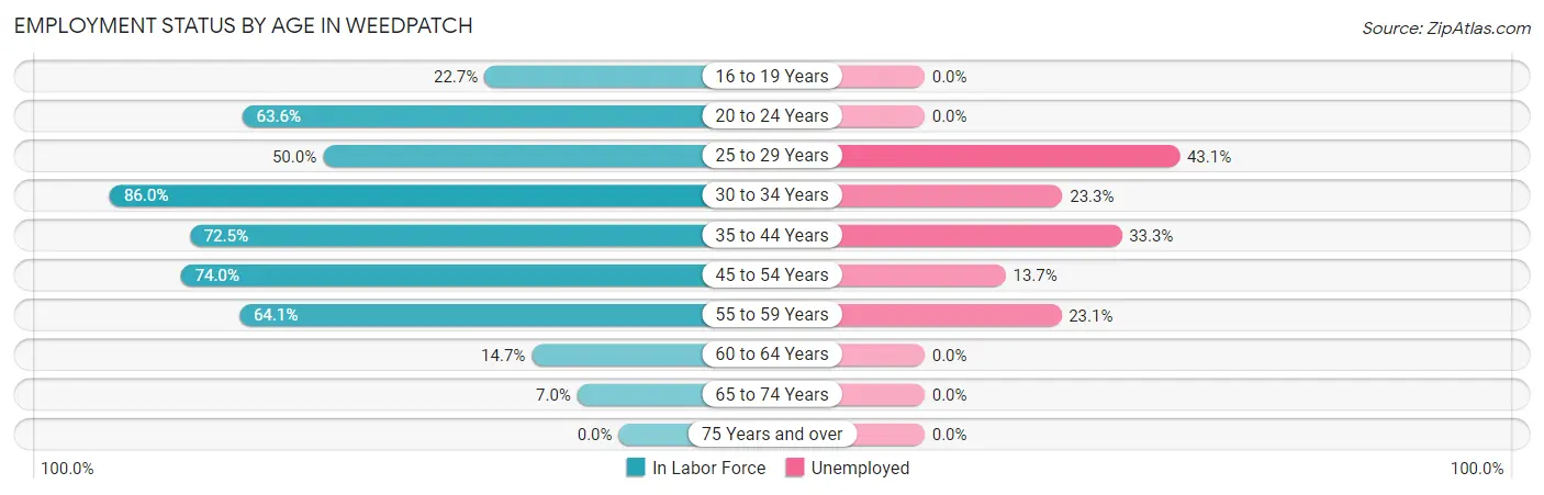 Employment Status by Age in Weedpatch