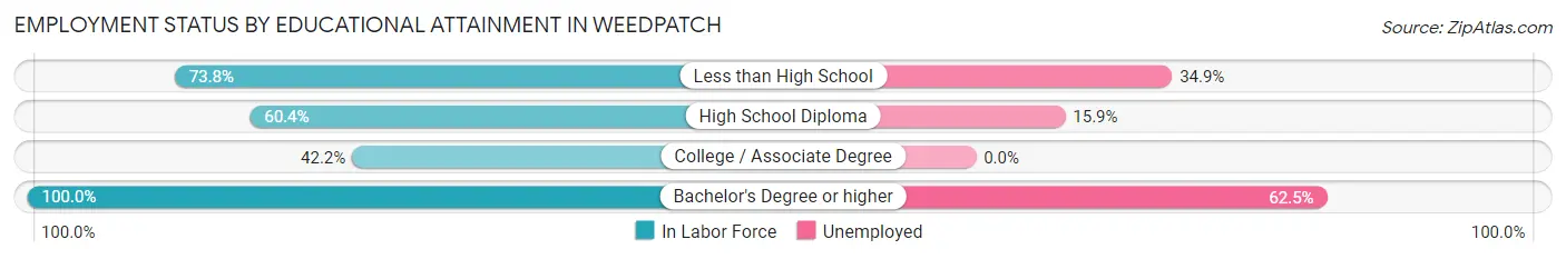 Employment Status by Educational Attainment in Weedpatch