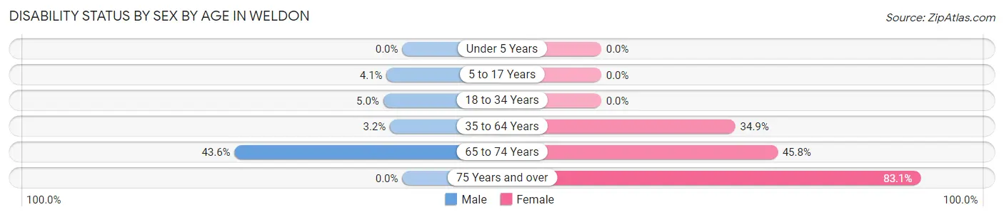 Disability Status by Sex by Age in Weldon