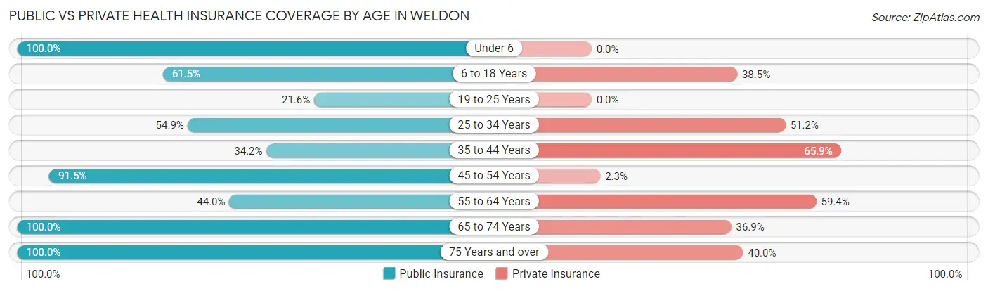 Public vs Private Health Insurance Coverage by Age in Weldon