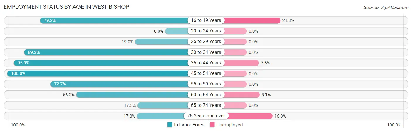 Employment Status by Age in West Bishop