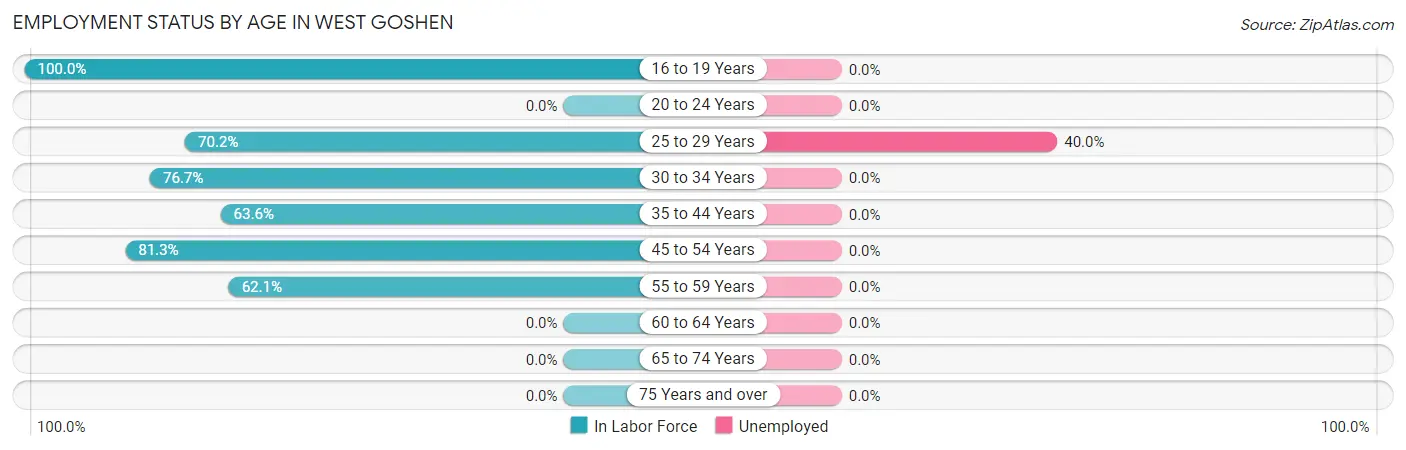 Employment Status by Age in West Goshen