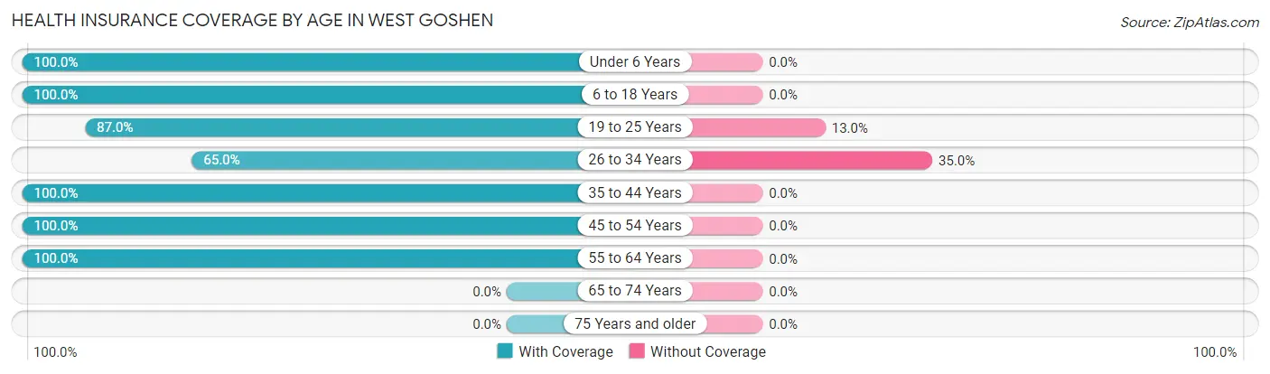 Health Insurance Coverage by Age in West Goshen
