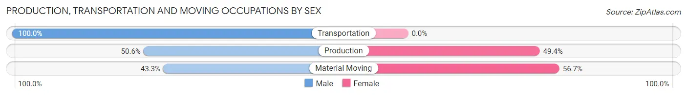 Production, Transportation and Moving Occupations by Sex in West Modesto