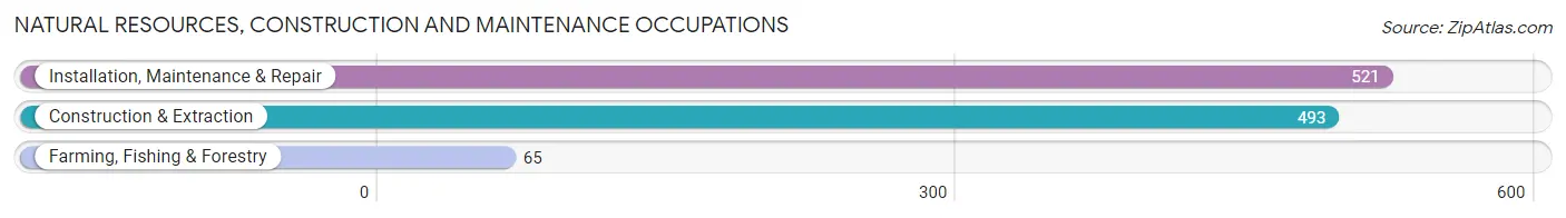 Natural Resources, Construction and Maintenance Occupations in West Puente Valley