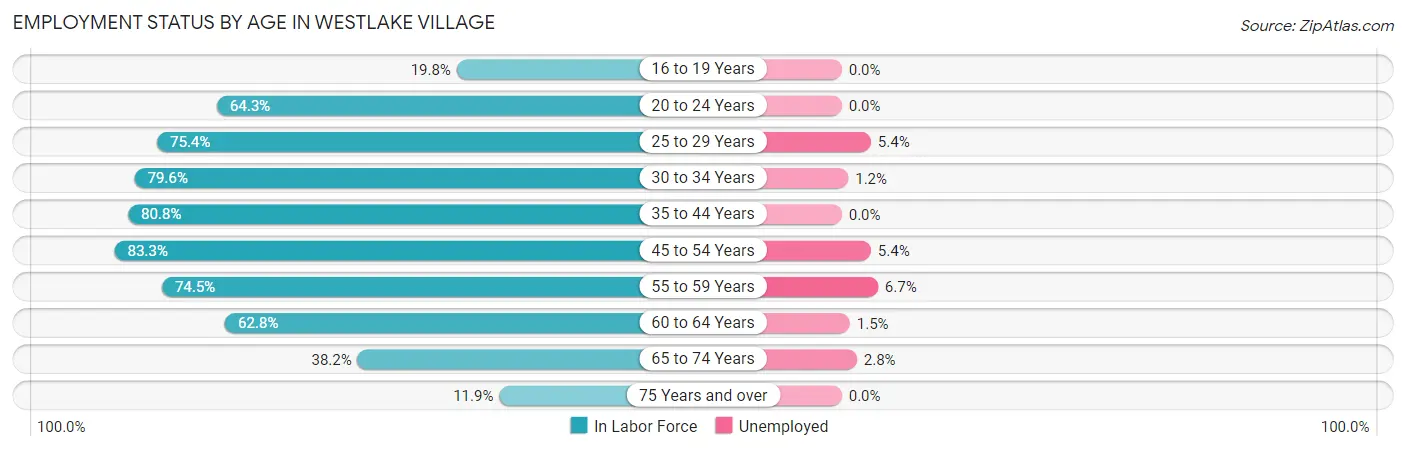 Employment Status by Age in Westlake Village