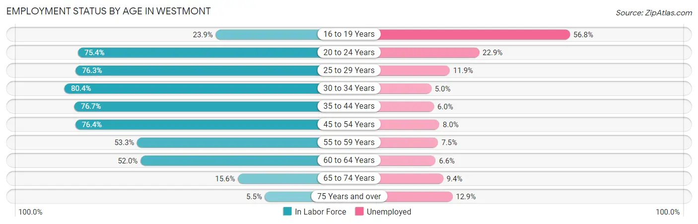 Employment Status by Age in Westmont