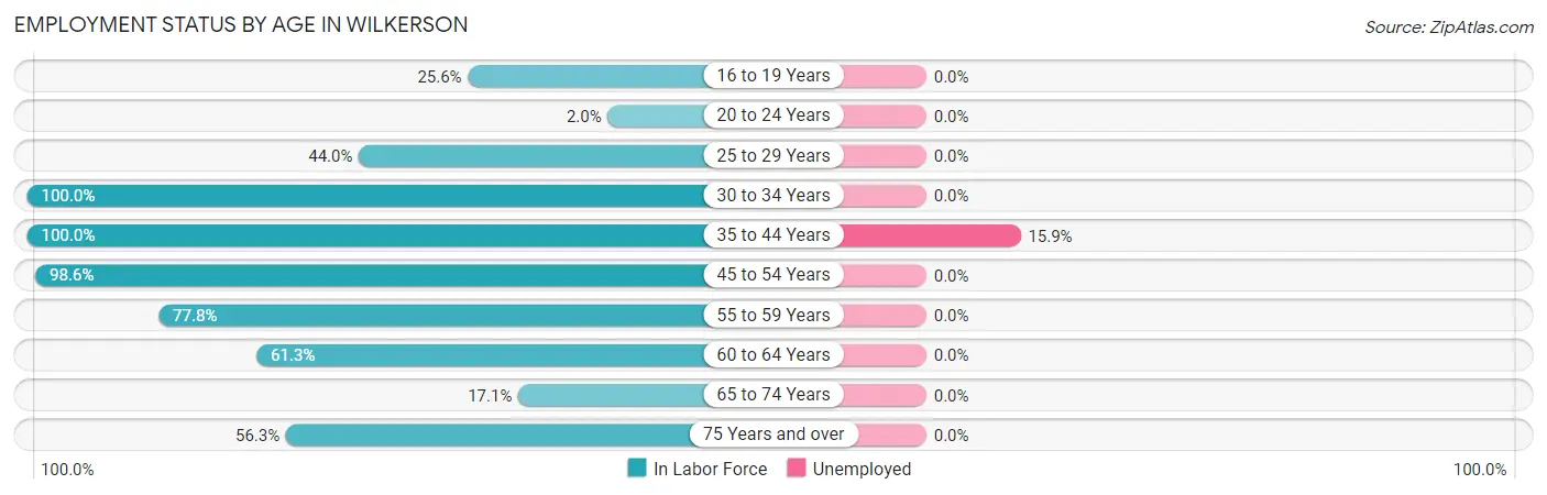Employment Status by Age in Wilkerson