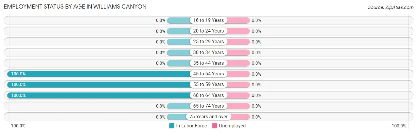 Employment Status by Age in Williams Canyon