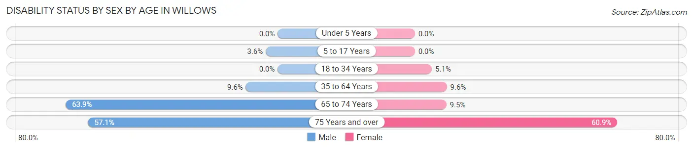 Disability Status by Sex by Age in Willows