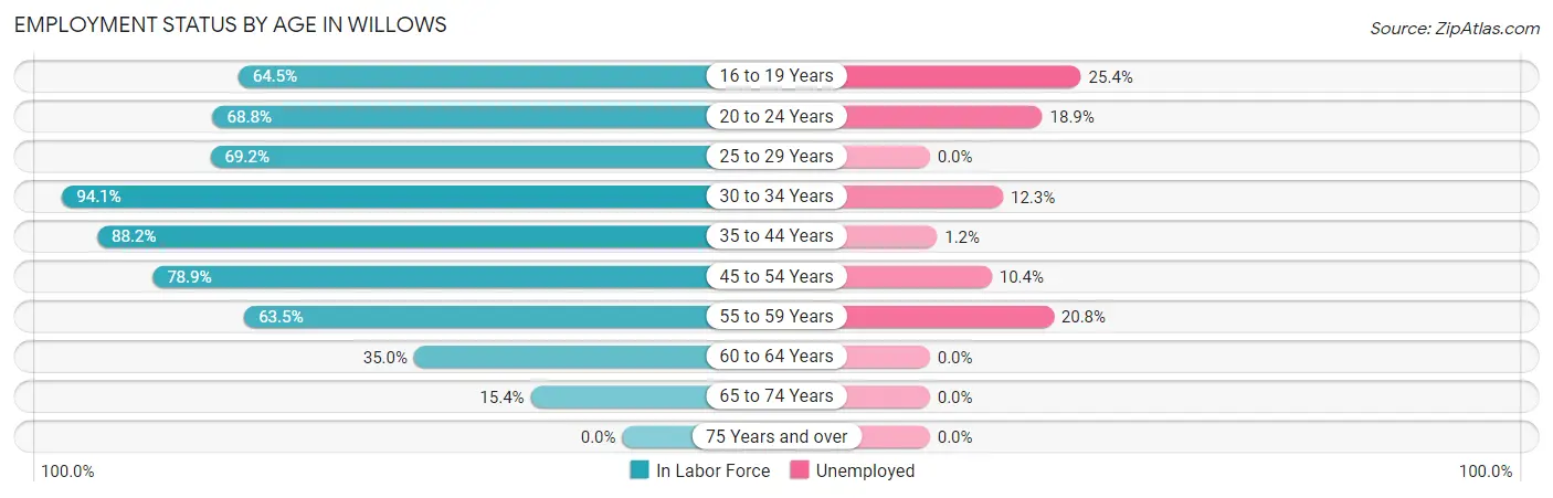 Employment Status by Age in Willows