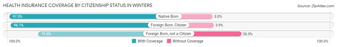 Health Insurance Coverage by Citizenship Status in Winters