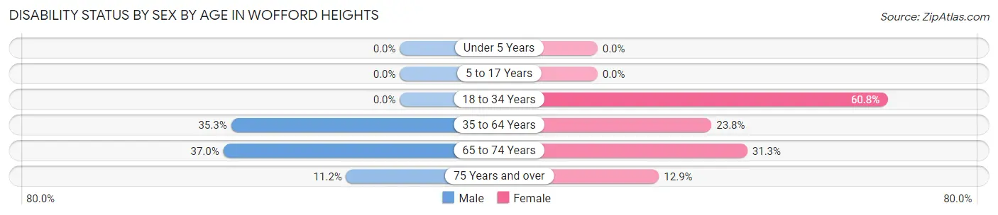 Disability Status by Sex by Age in Wofford Heights