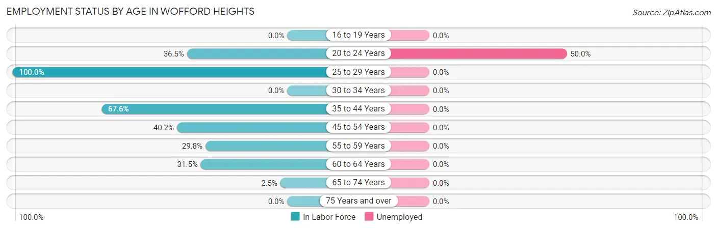 Employment Status by Age in Wofford Heights