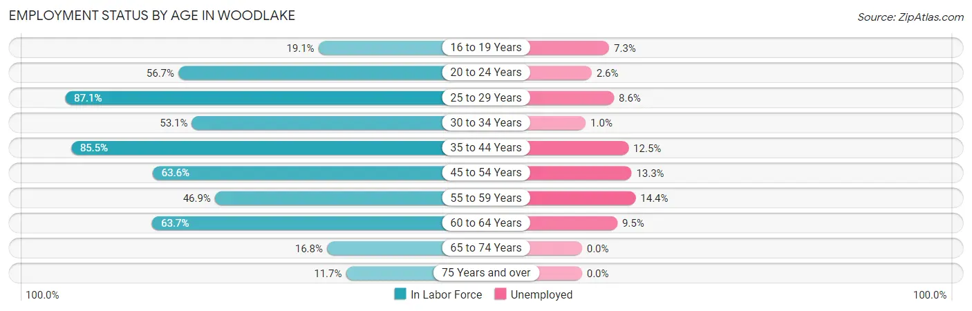 Employment Status by Age in Woodlake