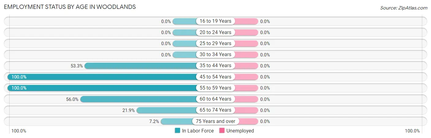 Employment Status by Age in Woodlands