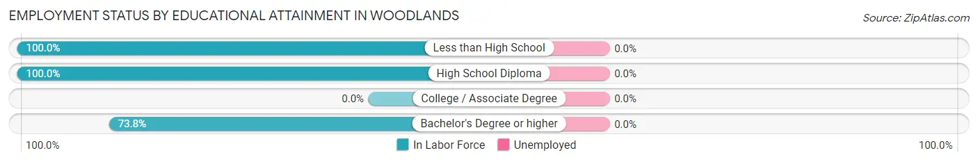 Employment Status by Educational Attainment in Woodlands
