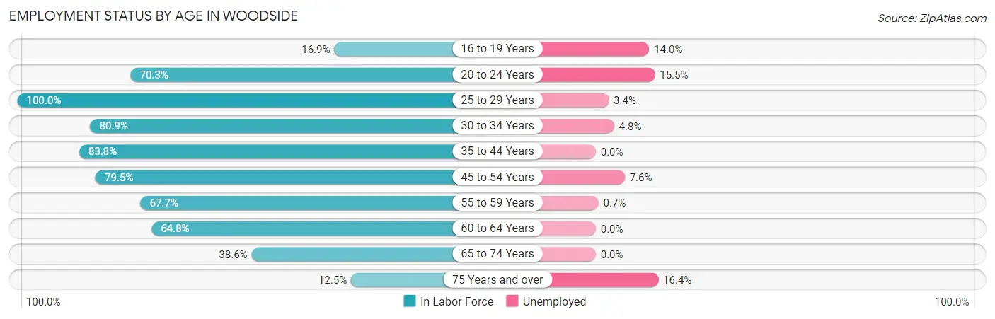 Employment Status by Age in Woodside