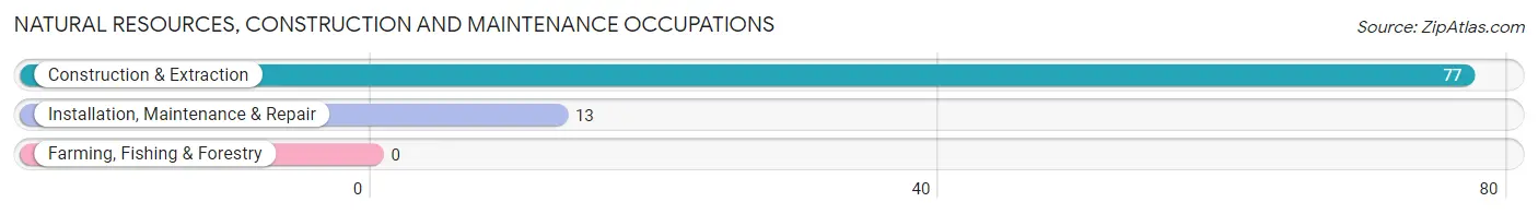 Natural Resources, Construction and Maintenance Occupations in Woodside