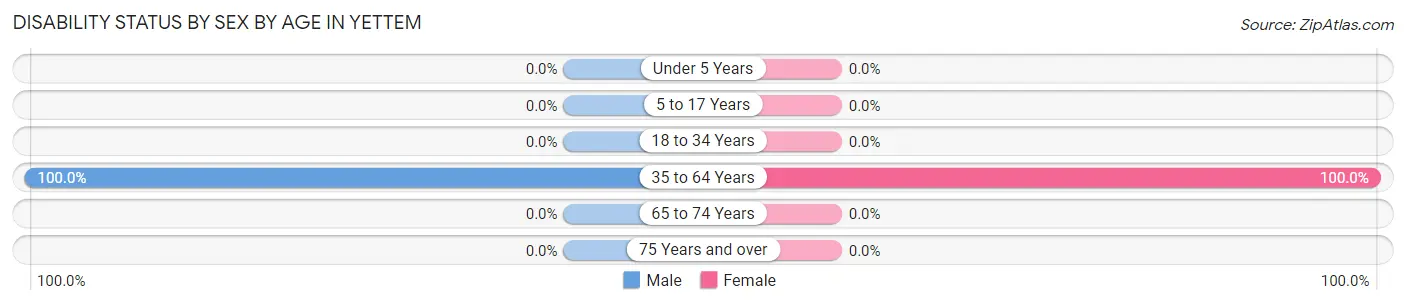 Disability Status by Sex by Age in Yettem