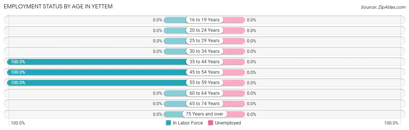 Employment Status by Age in Yettem