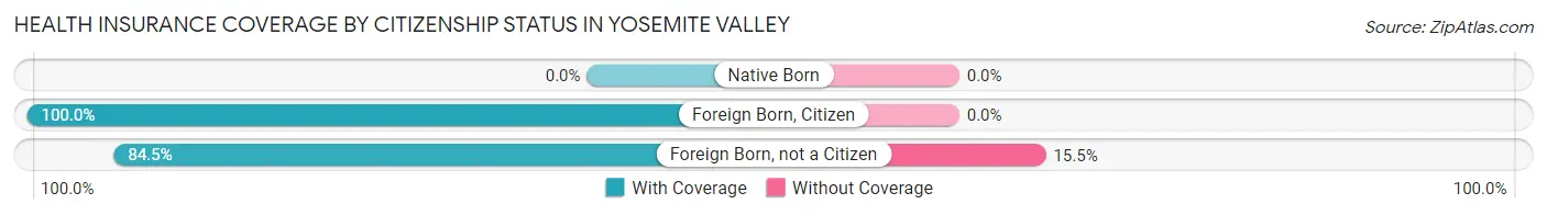 Health Insurance Coverage by Citizenship Status in Yosemite Valley