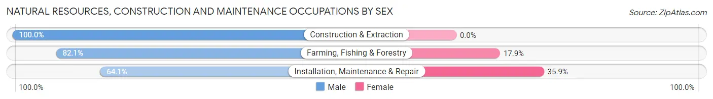 Natural Resources, Construction and Maintenance Occupations by Sex in Yosemite Valley