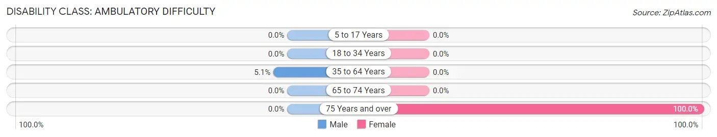 Disability in Aetna Estates: <span>Ambulatory Difficulty</span>