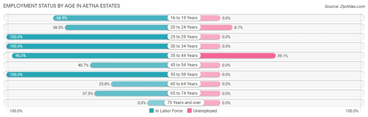 Employment Status by Age in Aetna Estates