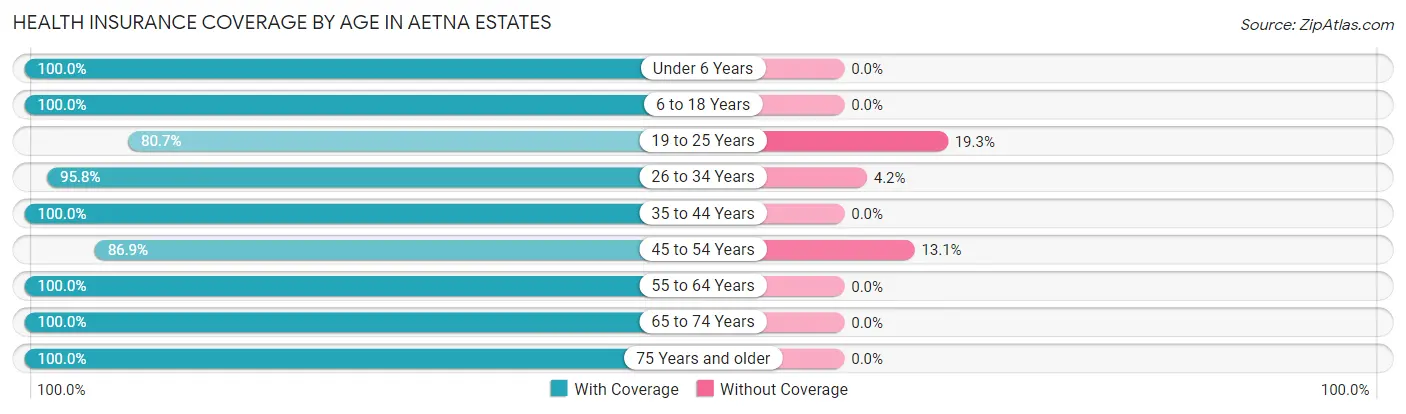 Health Insurance Coverage by Age in Aetna Estates