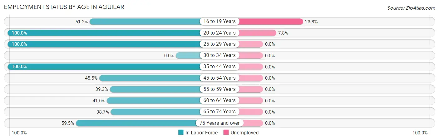 Employment Status by Age in Aguilar