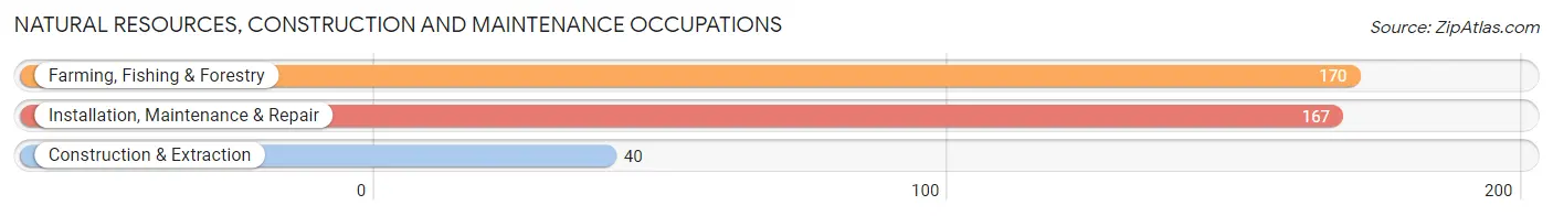 Natural Resources, Construction and Maintenance Occupations in Alamosa