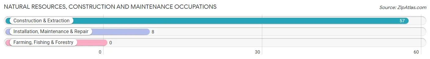 Natural Resources, Construction and Maintenance Occupations in Applewood