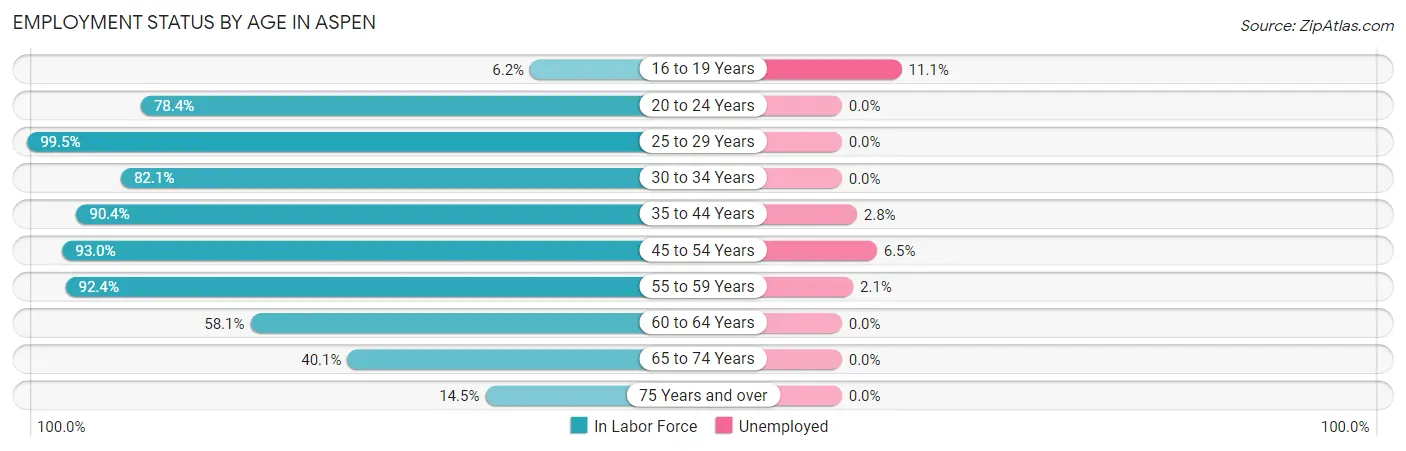 Employment Status by Age in Aspen