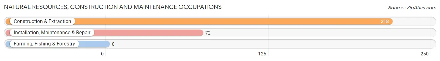 Natural Resources, Construction and Maintenance Occupations in Avon