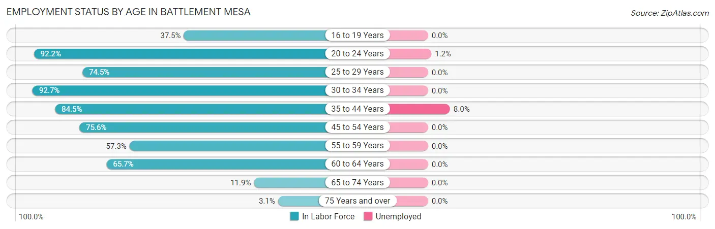 Employment Status by Age in Battlement Mesa