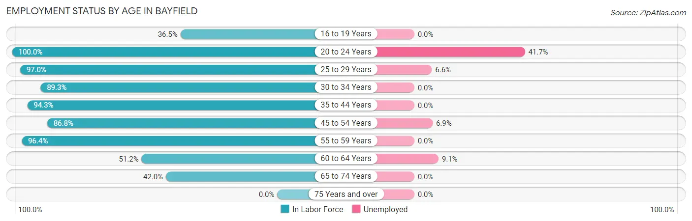 Employment Status by Age in Bayfield