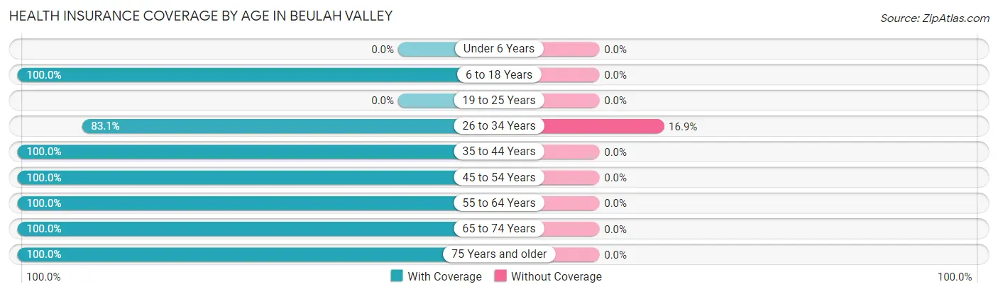 Health Insurance Coverage by Age in Beulah Valley