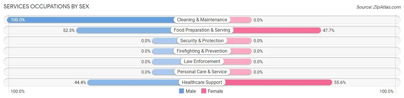 Services Occupations by Sex in Blende