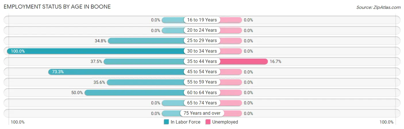 Employment Status by Age in Boone
