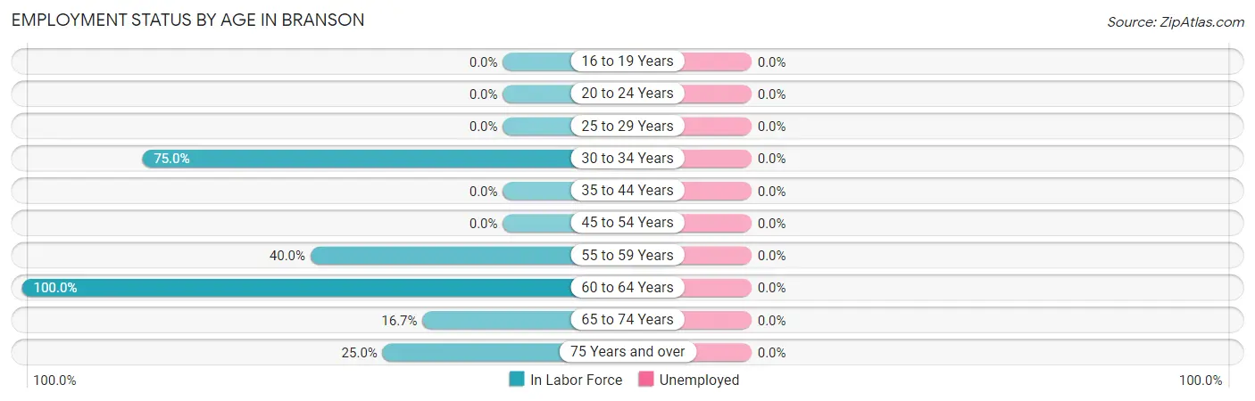 Employment Status by Age in Branson