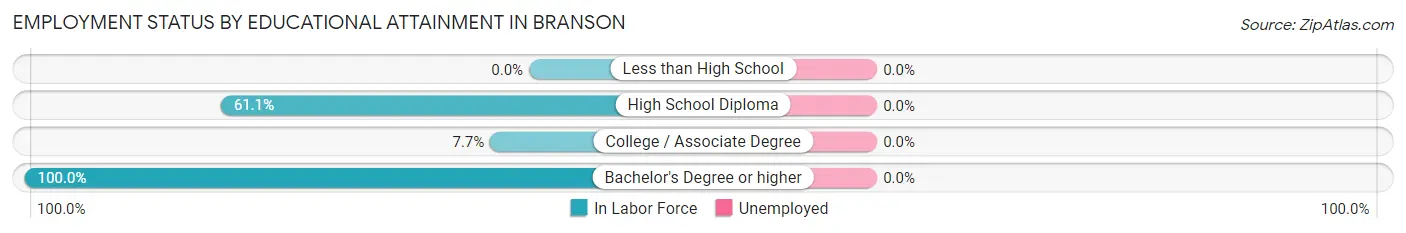 Employment Status by Educational Attainment in Branson