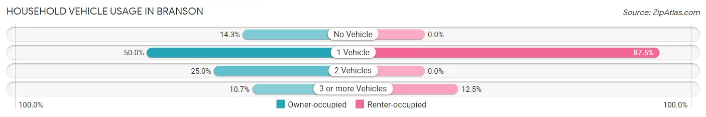 Household Vehicle Usage in Branson