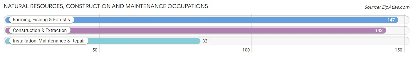 Natural Resources, Construction and Maintenance Occupations in Breckenridge