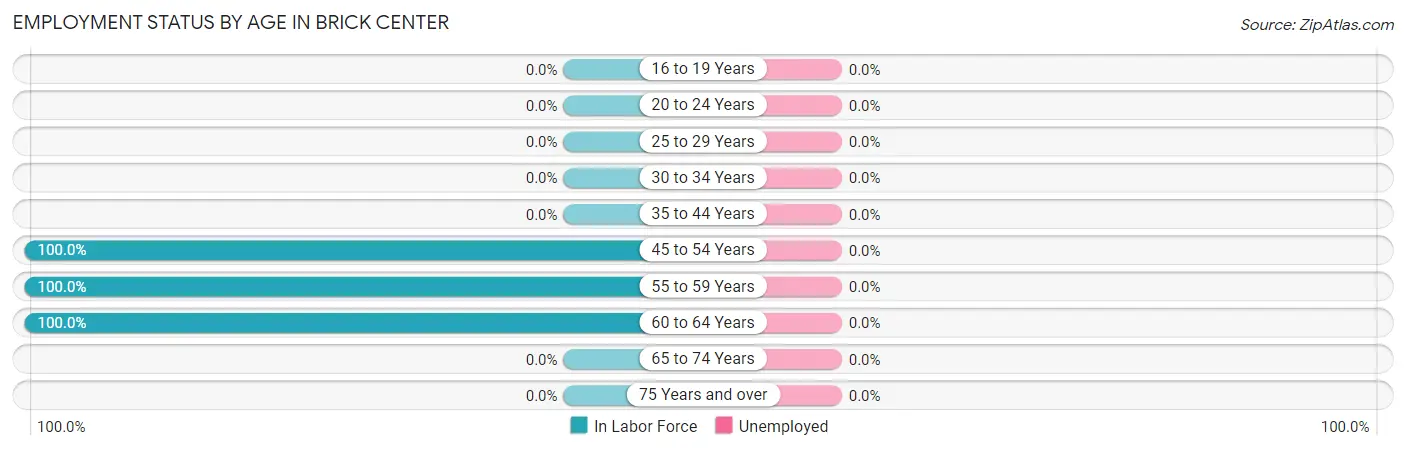Employment Status by Age in Brick Center